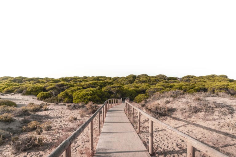 huelva en autocaravana