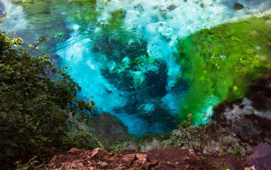 The Blue Eye en Albania. Un vibrante manantial natural con agua clara y color turquesa rodeado de algas verdes y vegetación. En la parte inferior se ven bordes rocosos.
