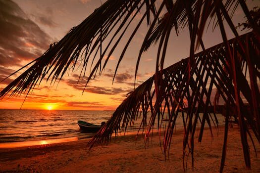 Puesta de sol en una playa con un cielo naranja, siluetas de palmeras, un barco en la arena y el sol cerca del horizonte sobre el mar.