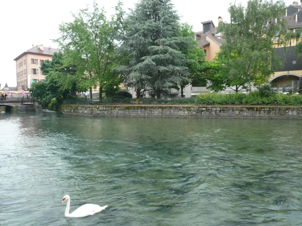 Canal del casco antiguo de Annecy con edificios junto al agua