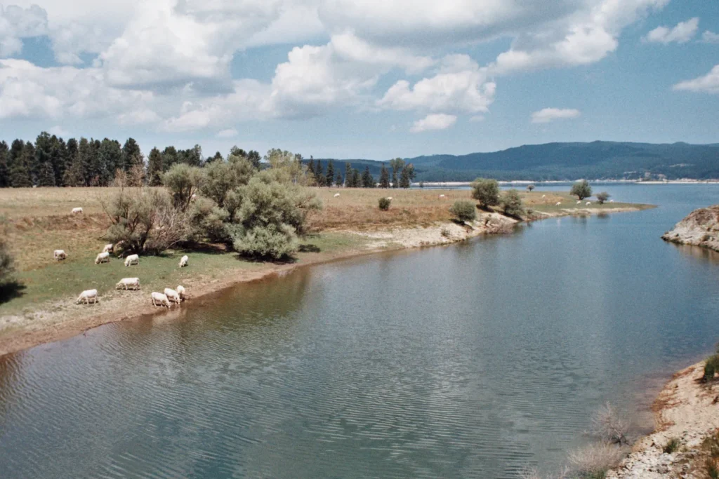 Lago Cecita en el Parque Nacional de la Sila Calabria