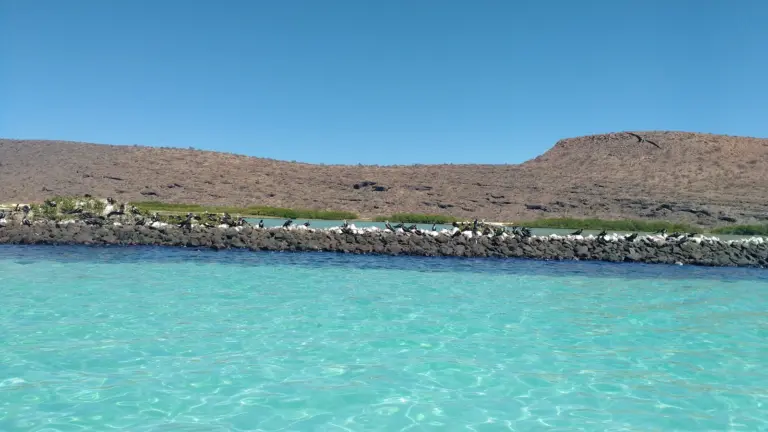 Costa rocosa y mar turquesa de Isla Espíritu Santo en Baja California Sur