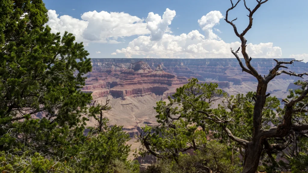 Vista del Gran Cañón desde South Rim en el mapa turístico de Estados Unidos