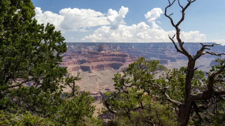 Vista del Gran Cañón desde South Rim en el mapa turístico de Estados Unidos