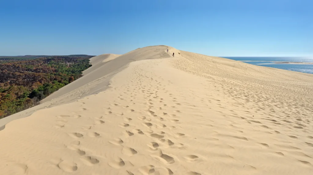 Vista desde la Dune du Pilat hacia la costa atlántica de Nueva Aquitania