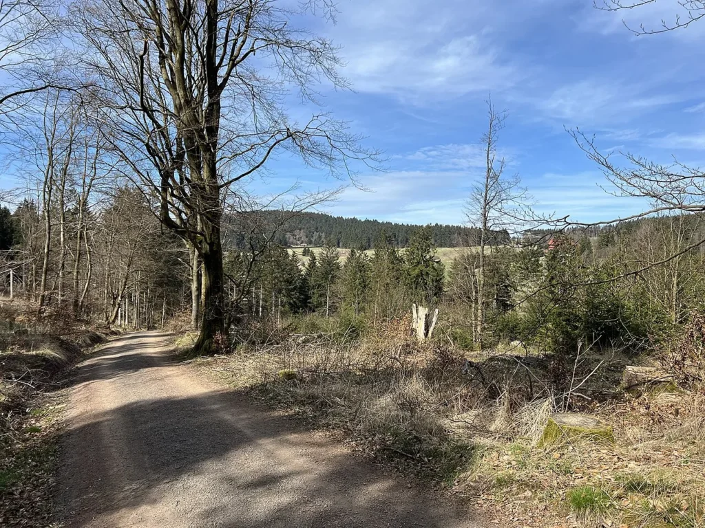 Sendero del Rennsteig en el bosque de Turingia