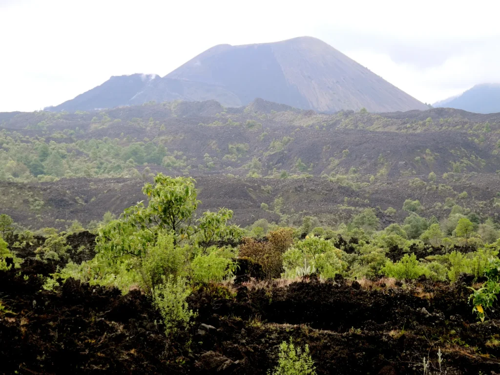 Volcan Paricutin en Michoacan para rutas de naturaleza