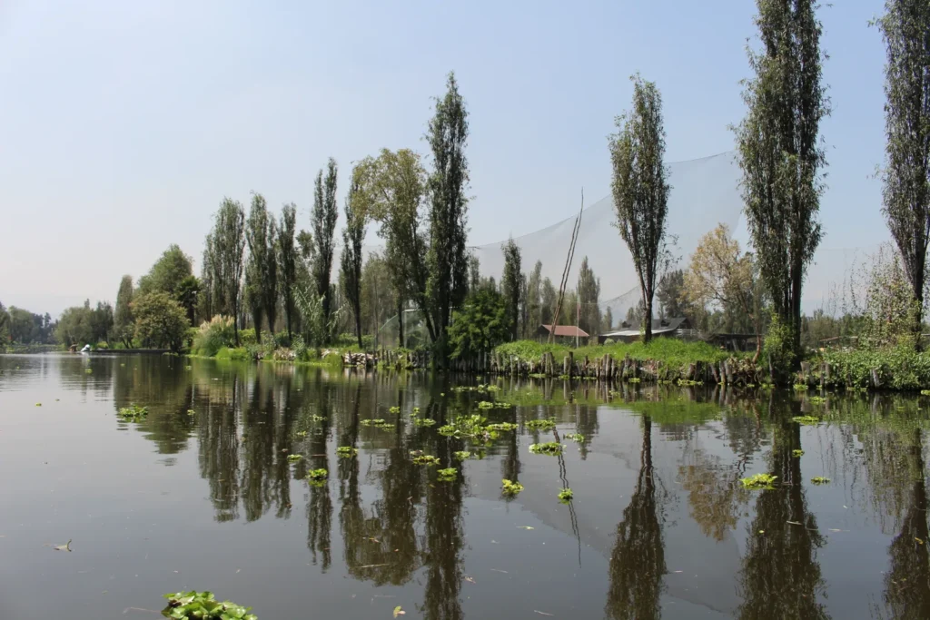 Canal con chinampas en Xochimilco