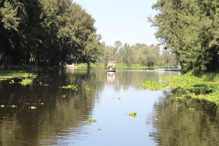 Trajinera navegando por un canal de Xochimilco