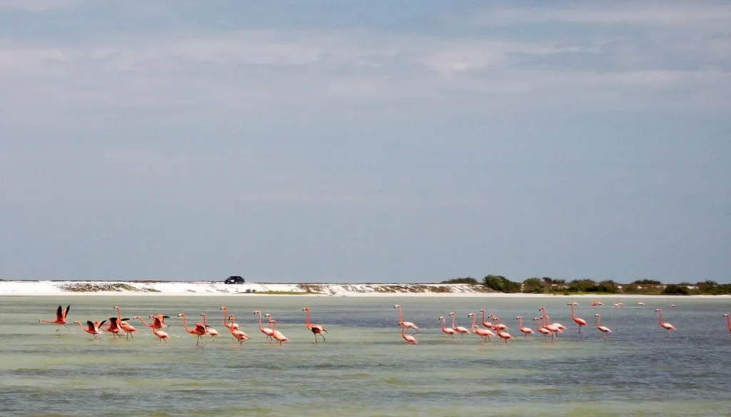 Paisaje de Ría Lagartos en la costa norte de Yucatán
