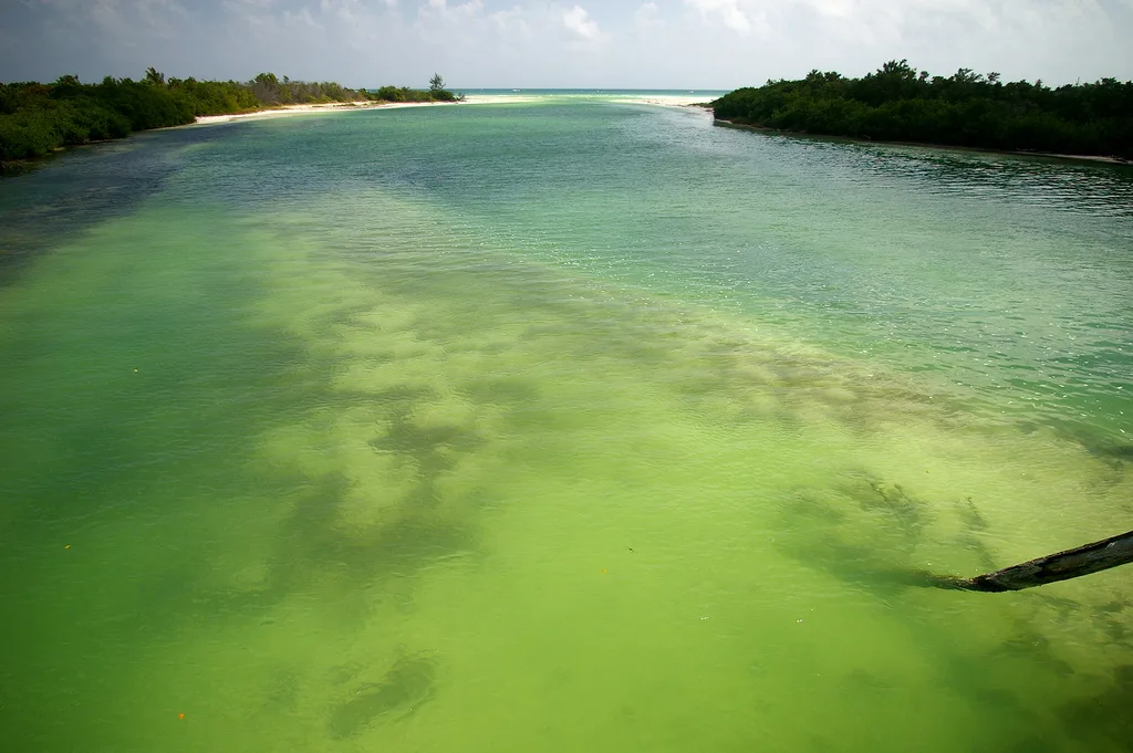 Lagunas y costa de la Reserva de la Biosfera de Sian Ka'an